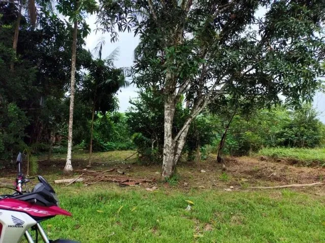 Imagem 5: Terreno Medindo 20X100 Metros