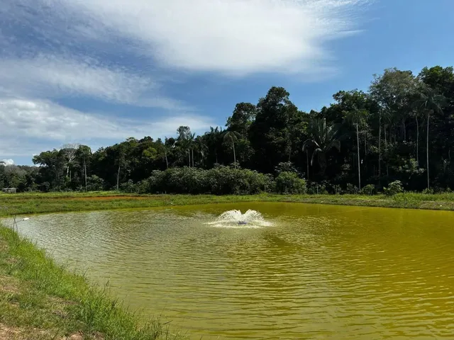 Imagem: Sítio com Piscicultura Rod. Manoel Urbano