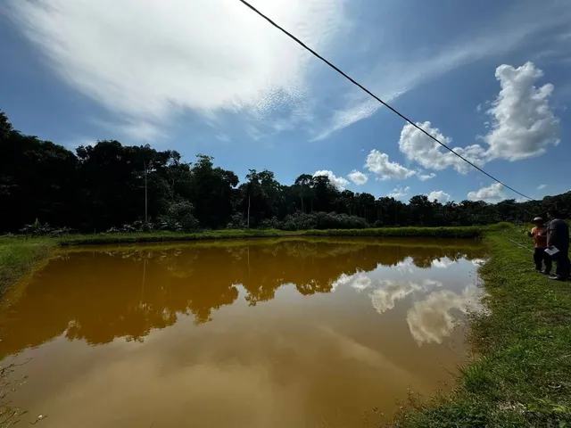 Imagem 3: Sítio com Piscicultura Rod. Manoel Urbano, Km 53 Am070
