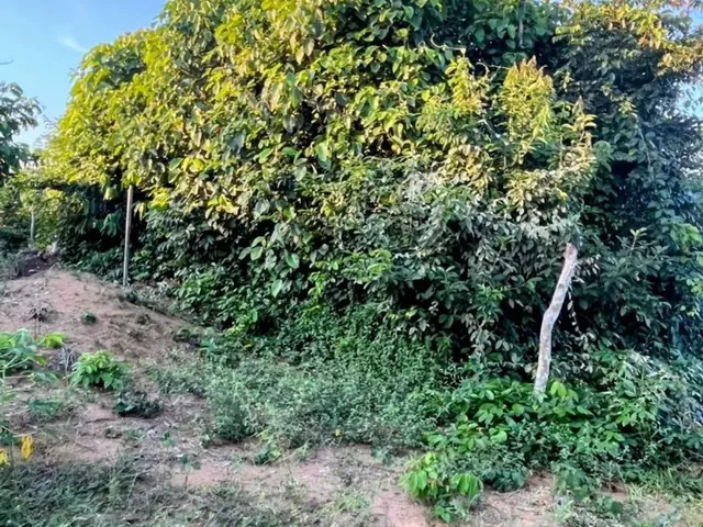 Imagem: Terreno