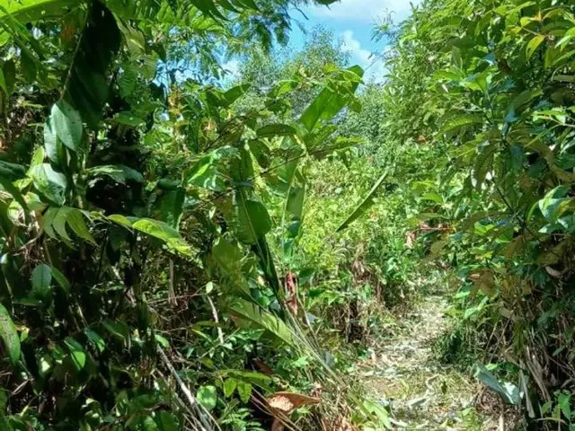 Imagem: Terreno com Água