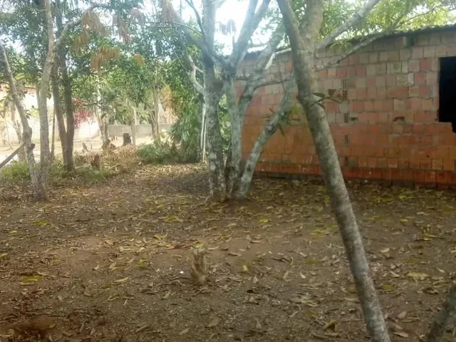 Imagem 1: /Vendo Lote com 800 M2 em Açutuba