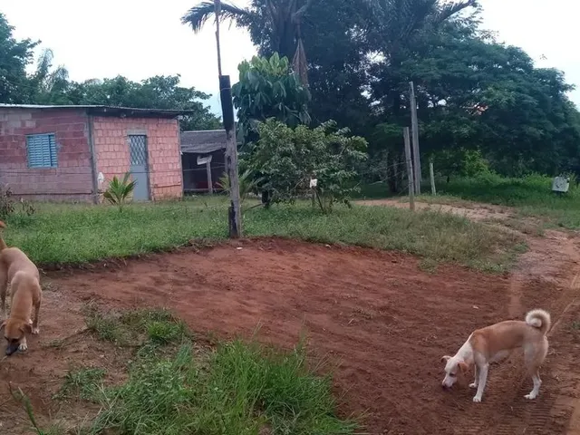 Imagem 4: Vendendo Essa Casa 65 Mil