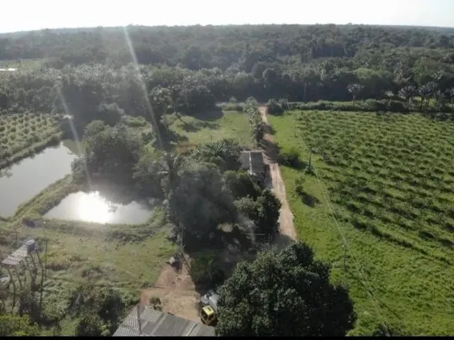 Imagem: Fazenda 2.500 X 2.600 na Am 010 Km 164 9.000.000