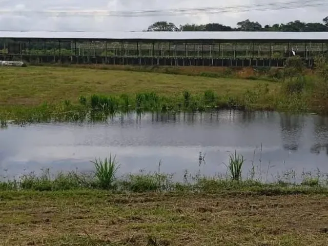 Imagem 11: Fazenda 2.500 X 2.600 na Am 010 Km 164 9.000.000