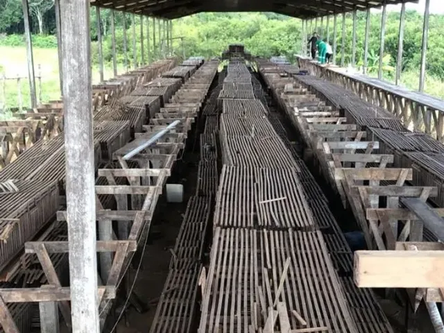 Imagem 13: Fazenda 2.500 X 2.600 na Am 010 Km 164 9.000.000