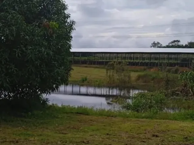 Imagem 14: Fazenda 2.500 X 2.600 na Am 010 Km 164 9.000.000