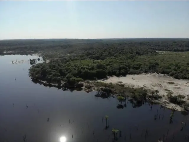 Imagem 6: Fazenda 2.500 X 2.600 na Am 010 Km 164 9.000.000