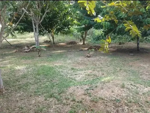 Imagem 3: Sítio em Presidente Figueiredo