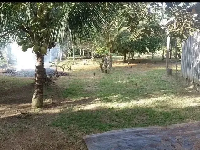 Imagem 4: Sítio em Presidente Figueiredo
