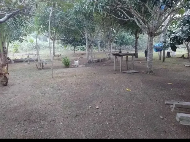 Imagem 5: Sítio em Presidente Figueiredo