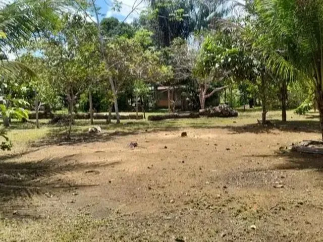 Imagem 6: Sítio em Presidente Figueiredo