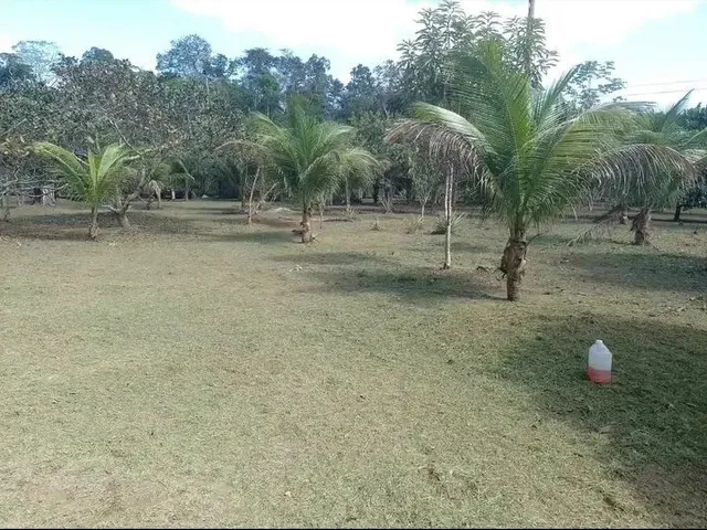 Imagem 15: Sítio em Presidente Figueiredo