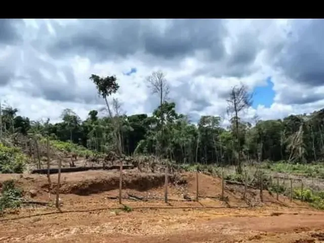 Imagem: Vendo Terreno Medindo 20X100
