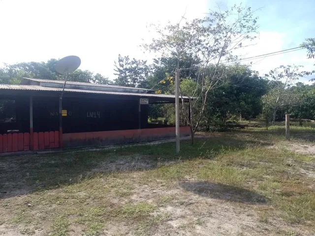 Imagem 4: Sítio na Estrada de Novo Airão