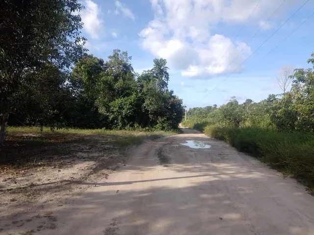 Imagem 2: Sítio na Estrada de Novo Airão
