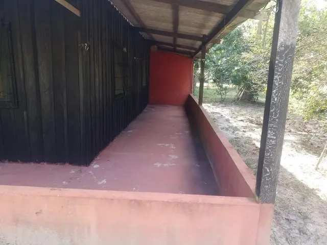 Imagem 14: Sítio na Estrada de Novo Airão