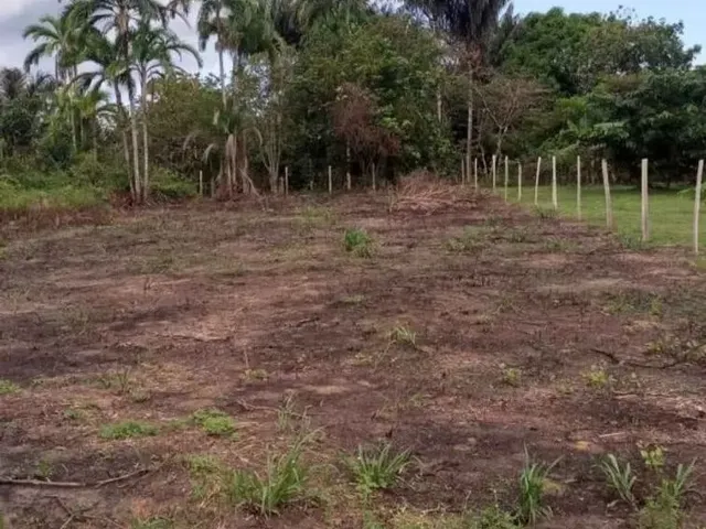 Imagem: Terreno no Rio Preto da Eva