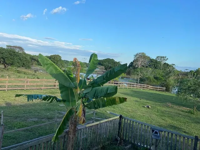 Imagem: Vende-Se Uma Fazenda