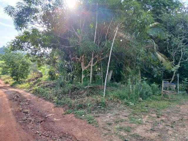 Imagem 3: Vende Este Sítio