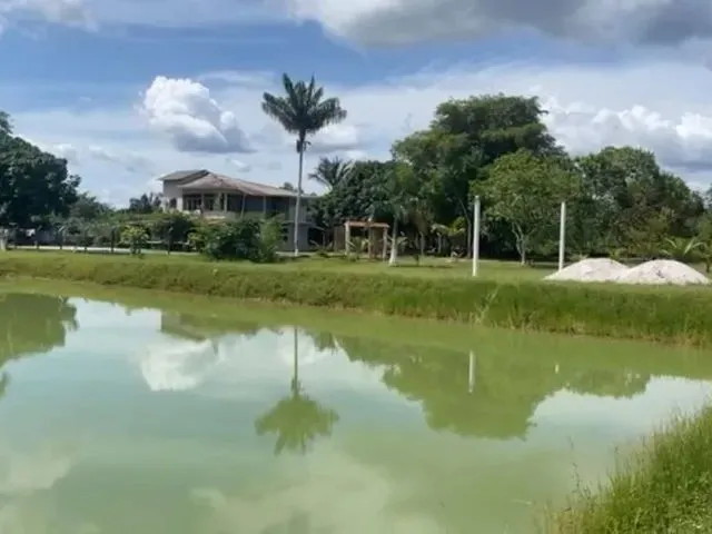 Imagem: Sítio 200 X 1.000 com 12 Viveiro Peixe