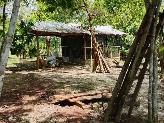 Imagem 14: Sítio com Casa Toda Avarandada