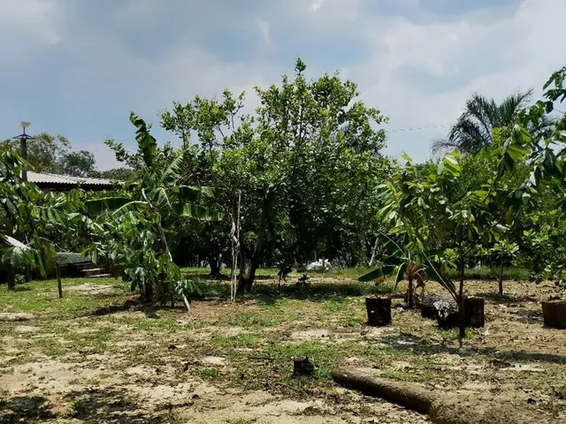 Imagem 16: Sítio com Casa Toda Avarandada