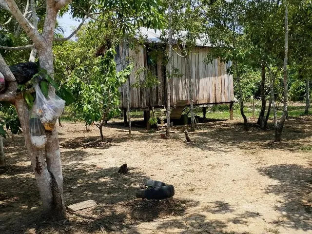 Imagem 3: Sítio com Casa Toda Avarandada