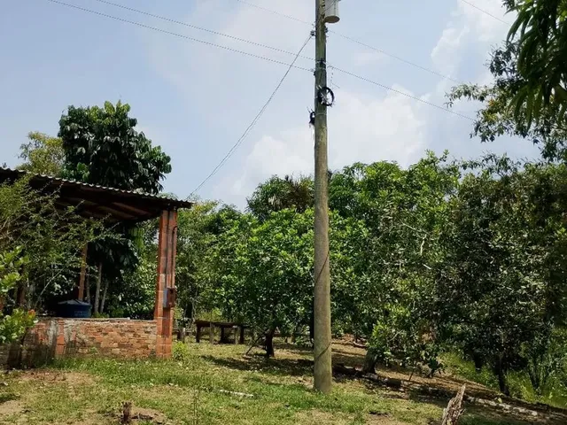 Imagem 7: Sítio com Casa Toda Avarandada