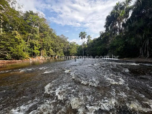 Imagem: 91 Hectares, com Corredeira!