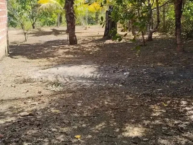 Imagem 6: Terreno para Venda na Estrada de Itacoatiara - Am
