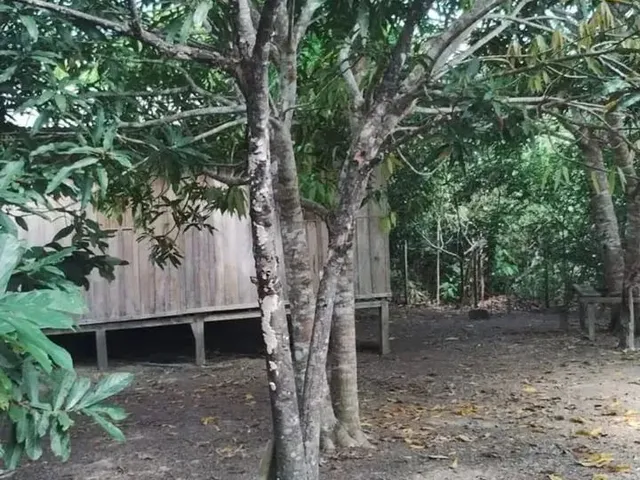 Imagem 8: Terreno para Venda na Estrada de Itacoatiara - Am