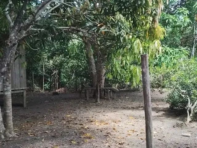 Imagem 4: Terreno para Venda na Estrada de Itacoatiara - Am