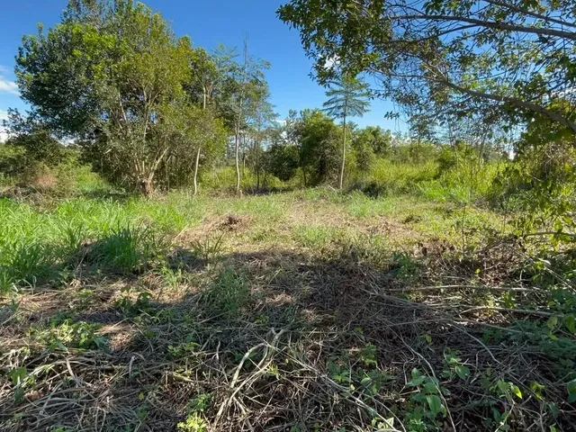 Imagem: Terreno em Manacapura /Beira de Pista Estrada