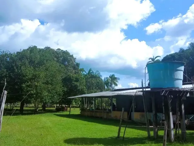 Imagem: A fazenda possui 3 Dormitórios, 480.000m² de Área e