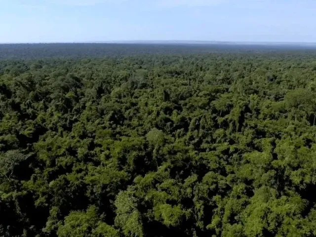 Imagem 2: Fazendas/Áreas para Investimento em Credito de Carbono com Documentação 100% Completa