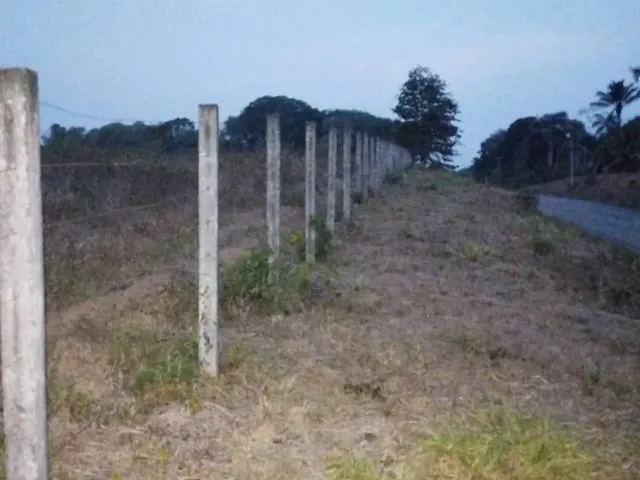 Imagem 11: Fazenda com 6.500.000M2 na Am-254 Careiro Castanho. Benfeitorias e Implementos Agrícolas