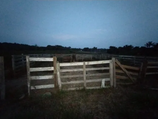 Imagem 8: Fazenda com 6.500.000M2 na Am-254 Careiro Castanho. Benfeitorias e Implementos Agrícolas