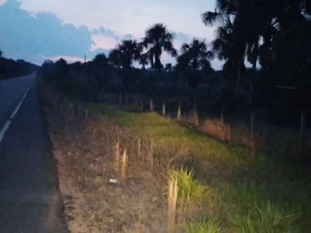 Imagem 6: Fazenda com 6.500.000M2 na Am-254 Careiro Castanho. Benfeitorias e Implementos Agrícolas