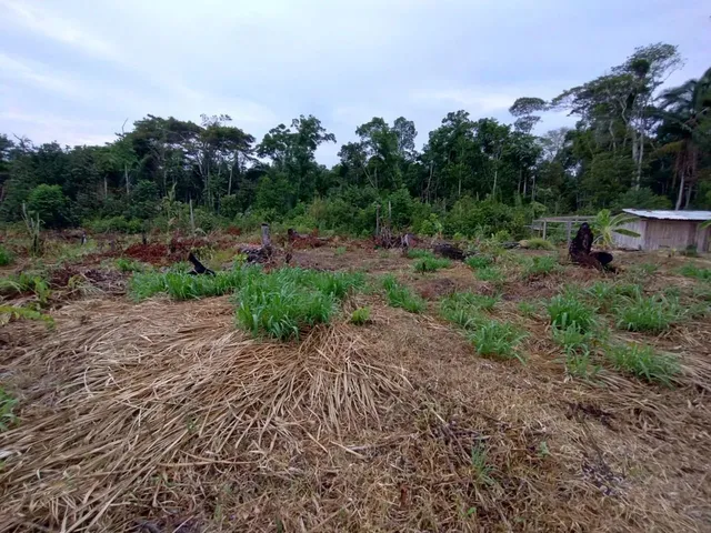 Imagem 15: Fazenda com 6.500.000M2 na Am-254 Careiro Castanho. Benfeitorias e Implementos Agrícolas