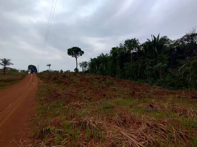 Imagem 9: Fazenda com 6.500.000M2 na Am-254 Careiro Castanho. Benfeitorias e Implementos Agrícolas