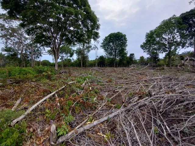 Imagem 13: Fazenda com 6.500.000M2 na Am-254 Careiro Castanho. Benfeitorias e Implementos Agrícolas