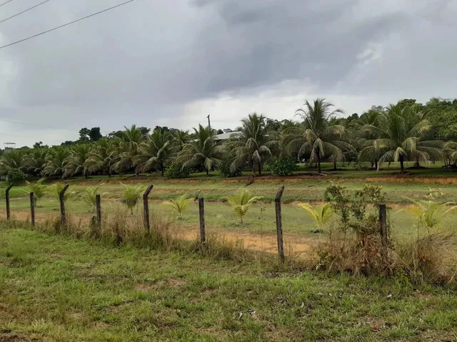 Imagem 14: Imóvel para Venda Possui 200000 Metros Quadrados com 2 Quartos em B - Presidente
