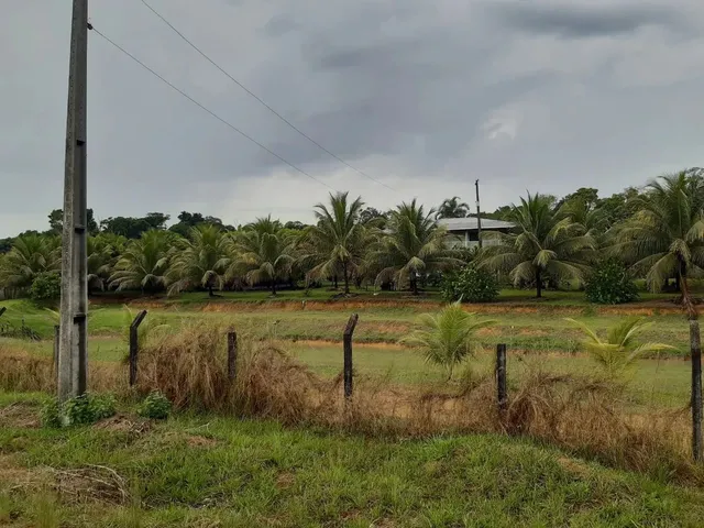 Imagem 4: Imóvel para Venda Possui 200000 Metros Quadrados com 2 Quartos em B - Presidente