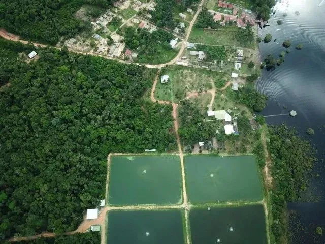 Imagem: Vendo Fazenda com 246 Hectares em Itacoatiara/
