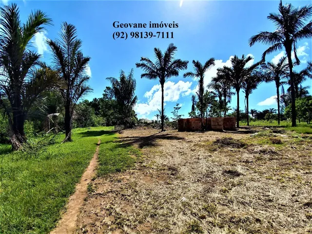Imagem: Fazenda Sítio Chácara Estrada de Janauary