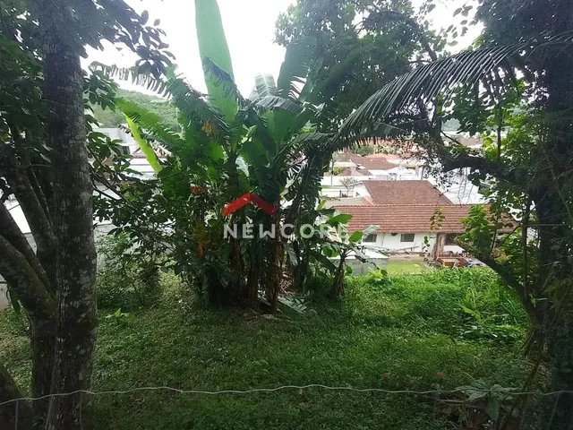 Imagem 6: Casa em Rua Colon - Glória - Joinville/Sc