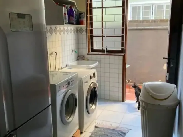 Imagem 14: Brognoli Vende Casa Comercial e Residencial no Córrego Grande, Florianópolis
