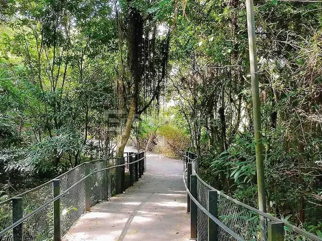 Imagem 11: Studio 32M² - Córrego Grande - Florianópolis, Sc