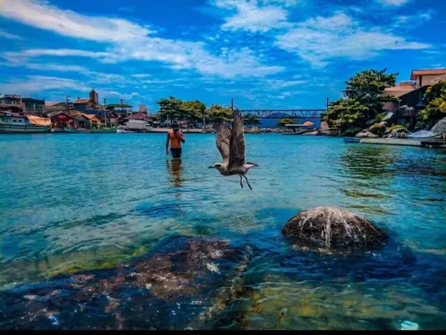 Imagem 16: Vendo Exelente Casa na Barra da Lagoa
